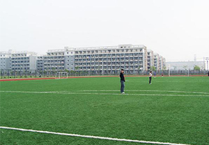 人造草运动场地