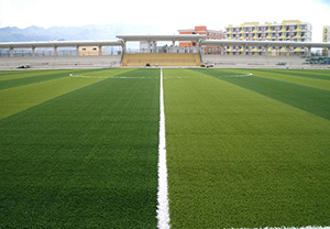 体育场人造草